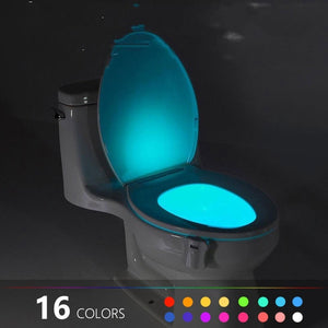 Rétro-éclairage pour la cuvette des toilettes